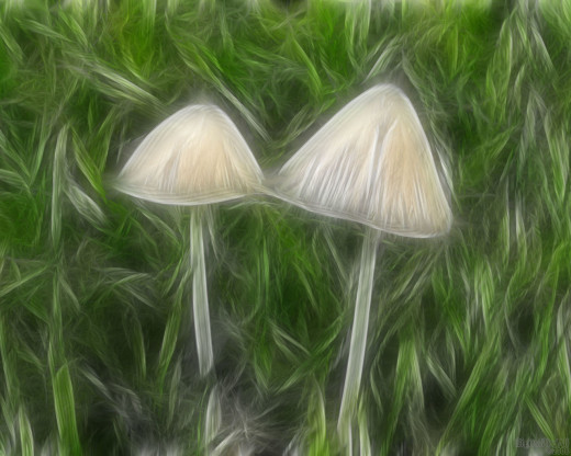 18726 (a): :1280x1024